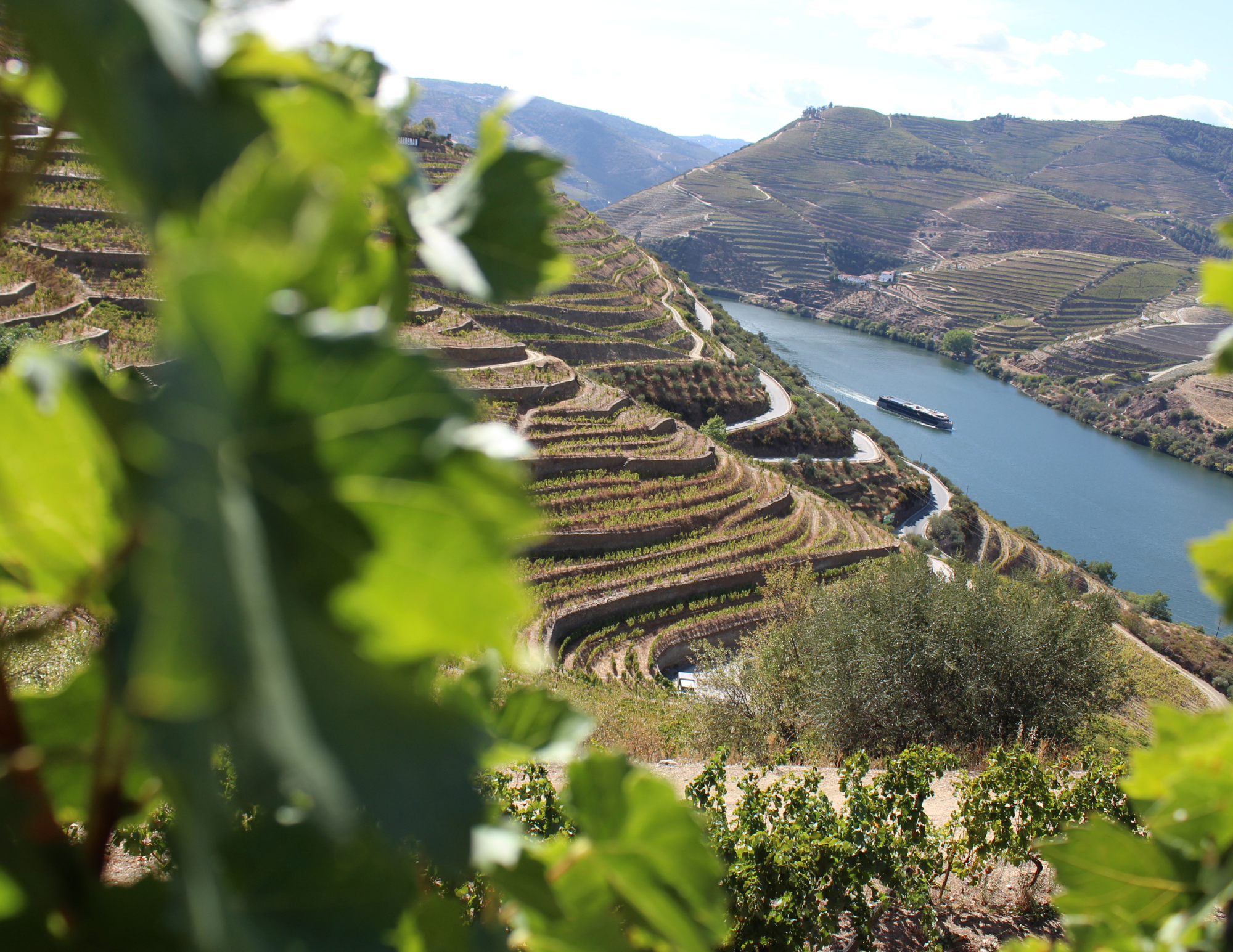 Douro Valley (1).png